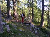 Planina Ravne - Kocbekov dom na Korošici